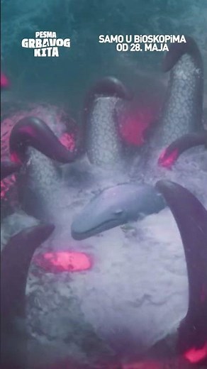 The Last Whale Singer [Pesma grbavog kita] | U bioskopima od 28.05. | 2026
