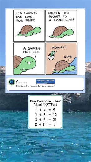 Turtle meme #short #funny #memes