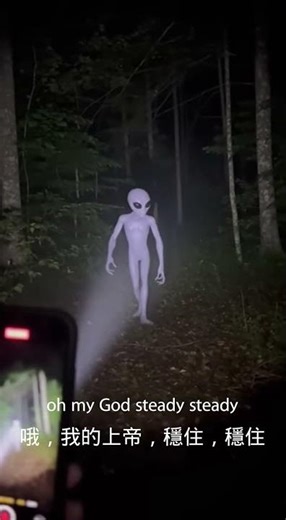 Mysterious Alien Figure in the Wilderness#Alien #Wilderness #NightFootage #Real #外星人 #荒野目擊 #隱藏攝影