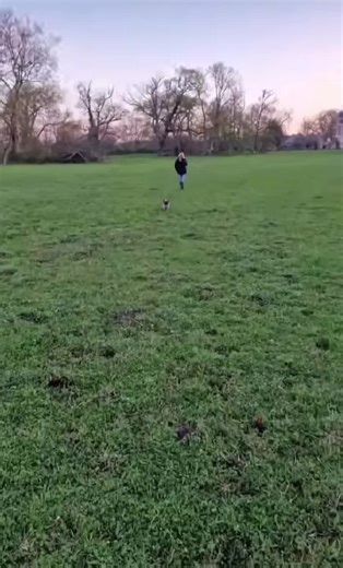 #laboiserie #thierryvigneauboiserie #boiserie #pourtoi