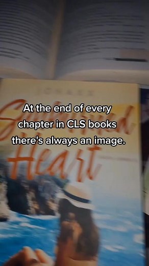 Decoding The Meaning of Sunburned Heart's Images in CLS Books