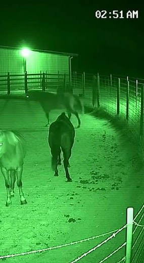 This Security Camera Recorded What No One Can Explain