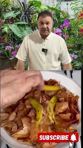 Orchid Care Tips for Beginnerss #orchidcare #OrchidTips #plantcare #shorts