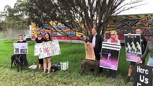 5.6K views · 173 reactions | ANIMAL ADVOCATES PROTEST AGAINST THE USE OF EXOTIC ANIMALS IN CIRCUS PERFORMANCES Animal advocates staged a protest outside the Stardust Circus at Shellharbour on Sunday afternoon. The group says it's cruel to use animals as entertainment and want the practice to be banned. The circus says the animals are part of the family and their safety and comfort is of the utmost importance. | ABC Illawarra | Facebook