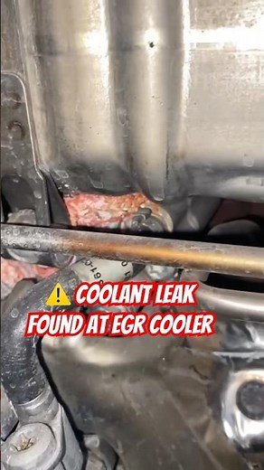 💧🔥 Coolant Leak in DD15 EGR Cooler + DPF Inspection 🚛🔧