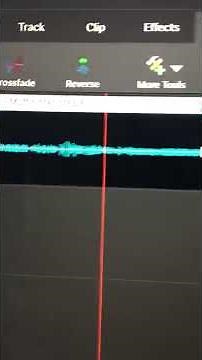 Barney - Muffin Man Medley (High Pitch)