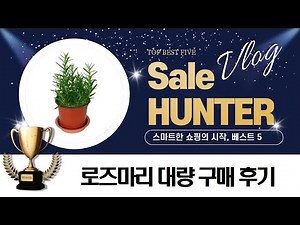로즈마리 대량 구매! 유기농부터 모종까지 종류별 로즈마리 리뷰 활용법