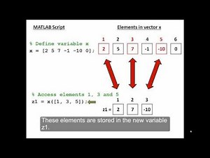 Vector elements and indices