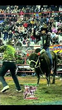 Niño Perdido de Jalisco vs Chalito de Rancho El Principio #jaripeo