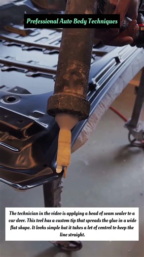 Professional Auto Body Techniques