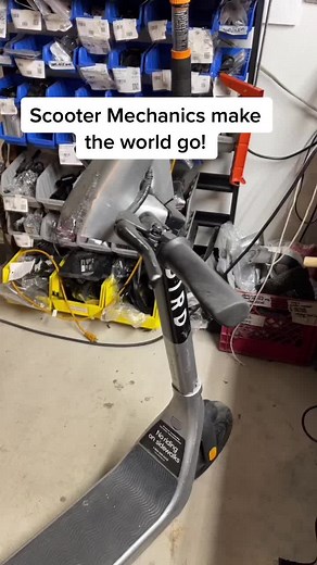 Bird Fleet Manager: Insights into Scooter Management