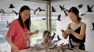 Science needs you! We're looking for #volunteers and want you to be part of something incredible in 2019. Join the World Science Festival Brisbane team & be in the front row for an epic celebration of #science. Find out more and apply today! 👍 https://bit.ly/2ztlNcb #thisisqueensland #WSFB2019 | World Science Festival Brisbane