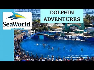 Splash into the Fun! 🐬✨🌊 | Dolphin Adventures - Full Show at SeaWorld San Diego 2025