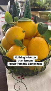 🍋 Looking for the best Lemon Recipe! #lemons #freshlemon #lemontree #recipeideas #freshfruit #homegrown | Home Hacks & Easy Snacks