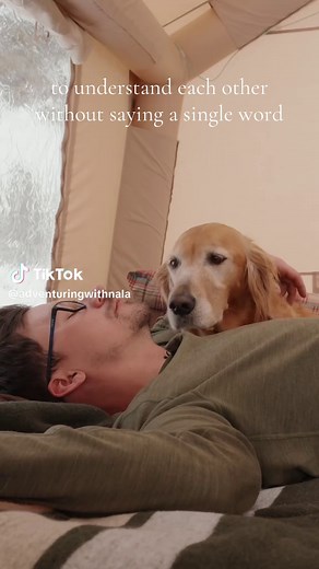 The Unspoken Love Between Dogs and Humans