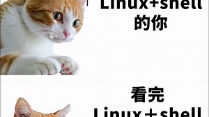 学习Linux命令+shell脚本教程一篇足矣！