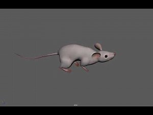 mouse running animation