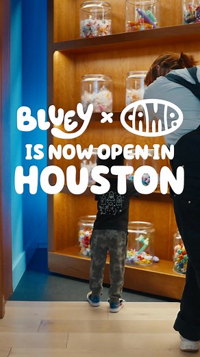 251 reactions · 134 shares | This unforgettable immersive adventure is for the entire family. ✨ Explore the Heeler home and get ready to play all of your favorite Bluey games, go down slides, activate dance mode and more! | Camp Stores | Facebook