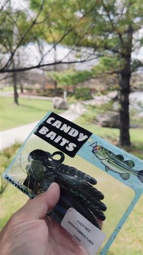 🍬Candybaits link in bio! Use code FISH CHICAGO for 20% off! #finderskeepers #chicago #fishing