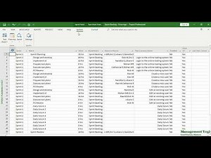 MANAGEMENT YOGI: MASTERING MS PROJECT AGILE: Key Points - Sprint Backlog