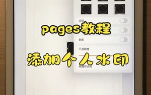 【Pages技巧】今天教你在Pages中利用文稿设置功能添加水印~