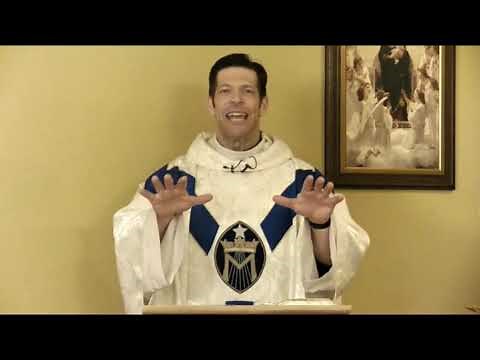 Fr. Mike Schmitz Homily Easter Morning Mass