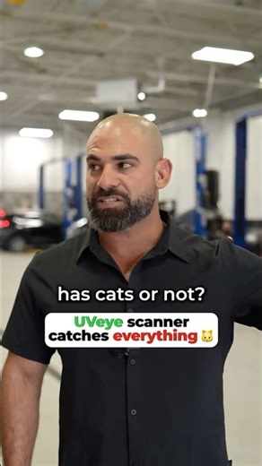 UVeye scanner catches cars without cats and more in seconds