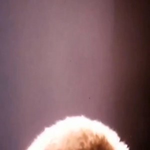 GI Joe 1970 | Historical Pictures