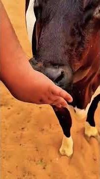 Prank Buzz – The Funniest Pranks on YouTube