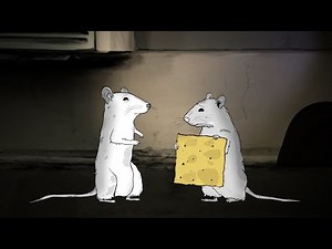 Animals. (Sundance 2015)