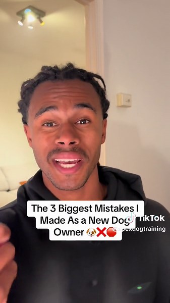 Hey guys, this is a true reflection back on my journey as an owner. I’ve made a lot more mistakes than this. However, when I look back at it, these were all things I never saw being problematic. Raising a puppy is hard because the seeds you sow do not come to fruit for quite sometime. By the time you realise, it can be too late and you already have an issue that has been in the wait for years. I never want anyone to make the mistakes I did, and have to go through the same struggle as me. Learn f