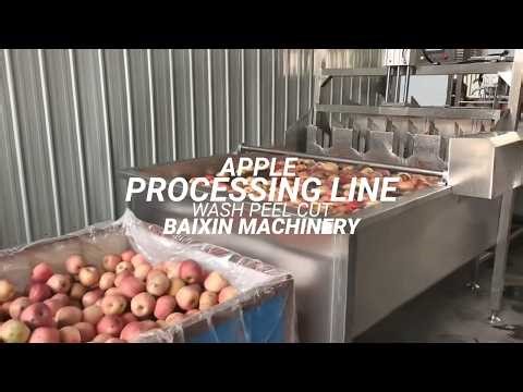 Automatic Apple production line - washing peeling pitting