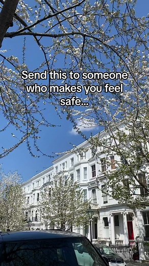 White Blossoms and Sunny Streets: A Visual Escape