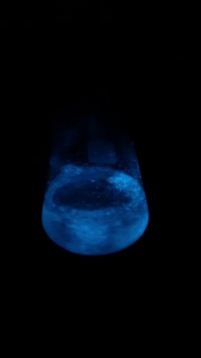 Discovering Bioluminescence: A Fascinating Natural Phenomenon