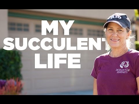 Succulent Tapestry Installation START TO FINISH!