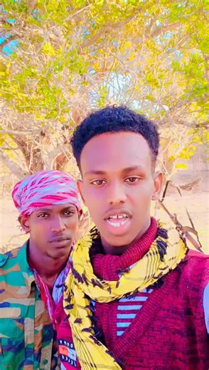 فيديوهات أنشأها abshir jeceelow (@abshir.jeceelow) باستخدام original sound - abshir jeceelow