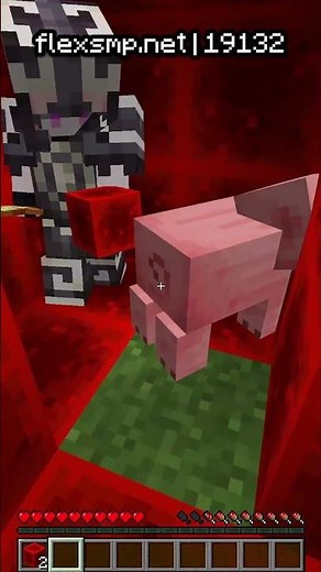 I Killed the SMP's Rarest Mob..