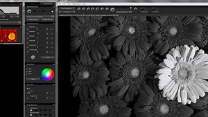 Sigma Introduces Photo Pro 5.5 Software, Focus on Monochrome
