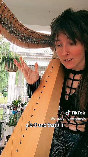 harp for beginners series p1! #harp #harpistsoftiktok #harptok #celticharp #leverharp #folkharp #harpist #learnharp #enby #queerartist #grimalkinrecords @grimalkinrecords