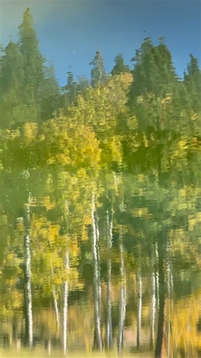 Abstract fall color reflections in Tahoe #fallcolors #abstract #reflections #beautyinnature #shotonipone #autumnvibes #momentofzen | Jen Peng Photos
