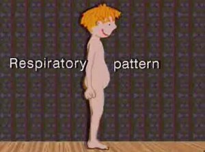 pediatric lungs examination ::معاینه سیستم تنفسی کودکان