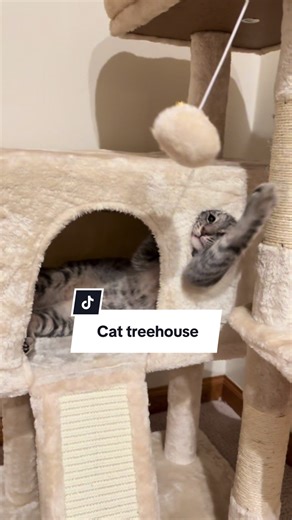 Discover the Perfect Cat Treehouse for Your Feline