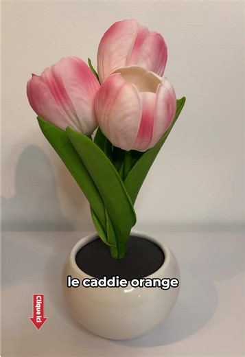 Lampe veilleuse led.