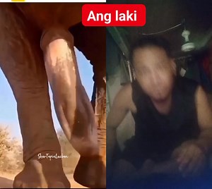 Nagulat si ate sa laki ng karga ni kuya cooklife 💙 #everyoneシ゚ #fbremixreels #reelsviralシfb #reelsvideoシ #everyonehighlights #sahodsafacebookreels #fypreelsシ゚ #highlightseveryone #letsgrowtogether2024 #trengdingaudio #thankyousomuch #reelsviralシ #reelsremixviral | Daniel Gautane