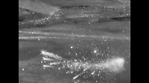 Refile: UK releases footage of jets taking off, downing drone over Jordan