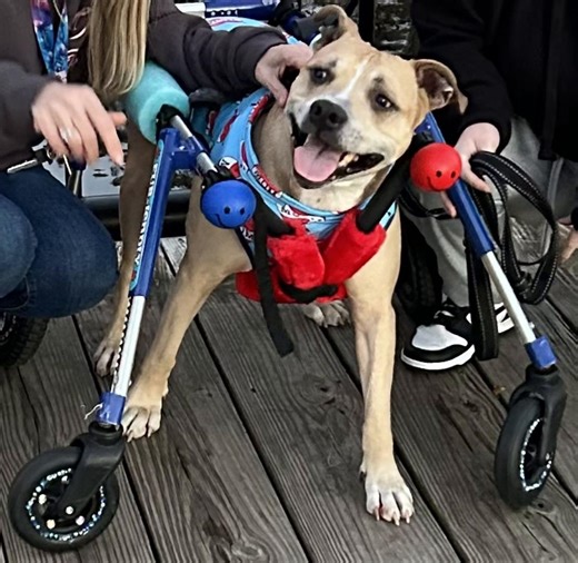 Exploring Conway: A Road Trip to South Carolina