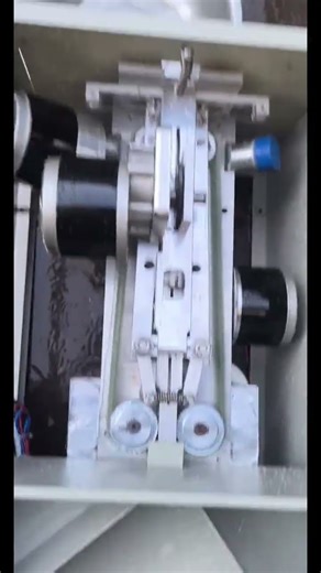 automatic fish cleaning machine