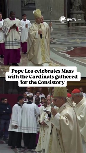 Pope Leo XIV celebrated Mass with the College of Cardinals in St. Peter’s Basilica at the Vatican, opening the second day of his first Extraordinary Consistory. In his homily, he called the Consistory a “moment of grace” and urged the Cardinals to share the burden of pastoral care. He reminded them that they are not “a team of experts,” but “a community of faith” at the service of God’s people.