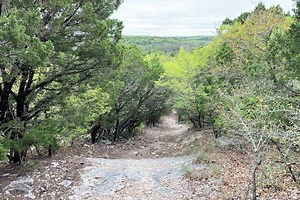 Best State Parks Near Arlington, TX |Explore Texas Nature in 2025