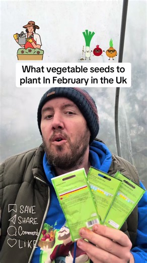 Sowing Vegetables in February: A Gardener's Guide